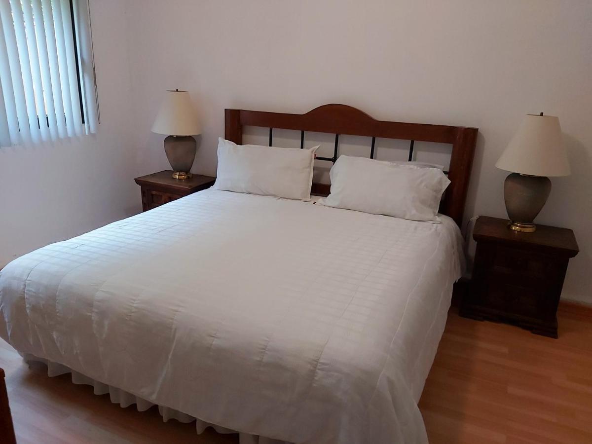 Steinhaus Suites Homero Mexikóváros Kültér fotó