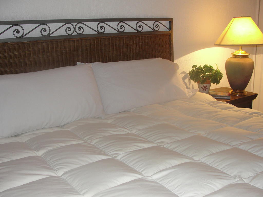 Steinhaus Suites Homero Mexikóváros Kültér fotó